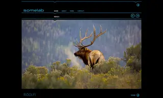 Preview of the Ridolfi Case Study