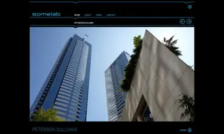 Preview of the Peterson Sullivan LLP Case Study