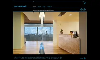 Preview of the Institute for Health Metrics and Evaluation Case Study