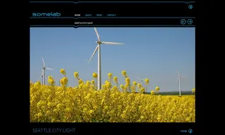 Preview of the Seattle City Light Case Study