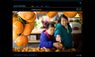 Preview of the Seattle's Chinatown-International District Case Study