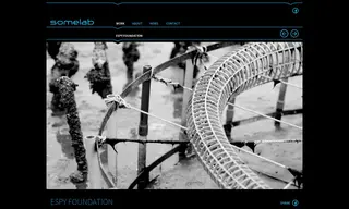 Preview of the Espy Foundation Case Study