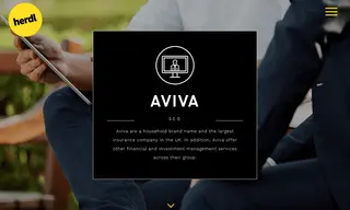 Preview of the Aviva﻿ Case Study