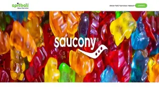 Preview of the Saucony Case Study
