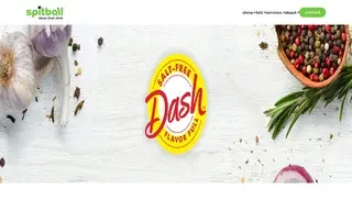 Preview of the Dash Case Study