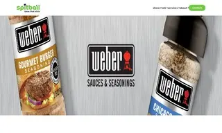 Preview of the Weber Case Study