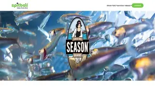 Preview of the Season Brand Case Study