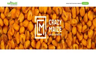 Preview of the Crazy Maize Corn Snacks Case Study