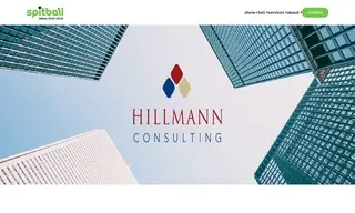 Preview of the Hillmann Consulting Case Study