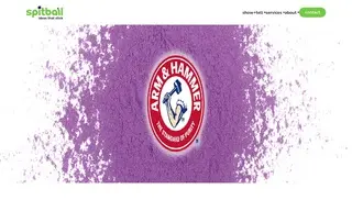 Preview of the Arm & Hammer Case Study
