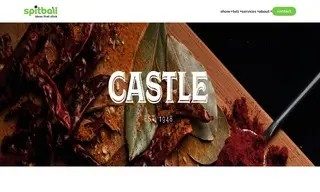 Preview of the Castle Foods Case Study