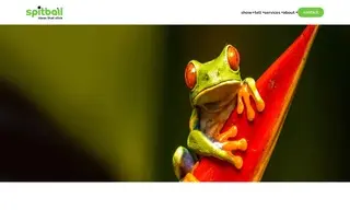 Preview of the Glassfrog Case Study