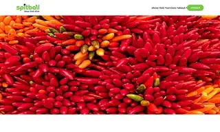 Preview of the Cholula Foods Case Study