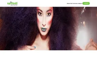 Preview of the Catwalk Case Study