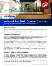 Preview of the Ferguson Enterprises Case Study