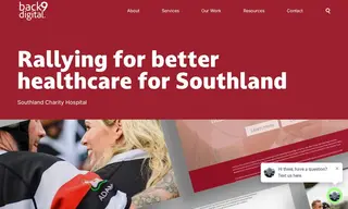 Preview of the Southland Charity Hospital Case Study