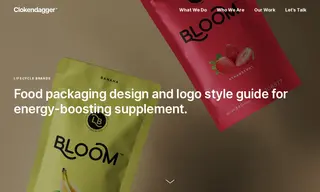 Preview of the Lifecycle Brands Case Study