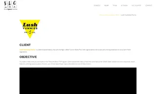 Preview of the Lush Yummies Pie Co. Case Study
