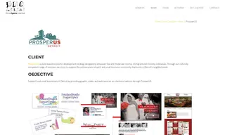 Preview of the ProsperUS Case Study