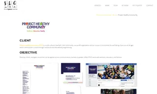 Preview of the Project Healthy Community Case Study