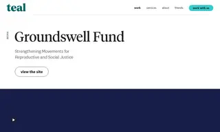 Preview of the Groundswell Fund Case Study