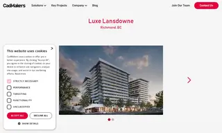 Preview of the Townline Case Study