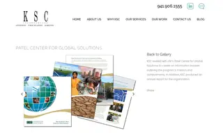 Preview of the Patel Center for Global Solutions Case Study