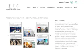 Preview of the Accent Distributing Case Study