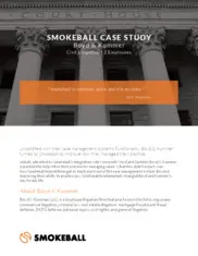 Preview of the Boyd & Kummer LLC Case Study