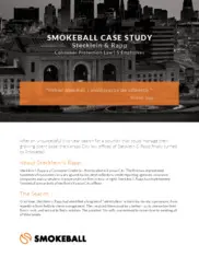 Preview of the Stecklein & Rapp Case Study