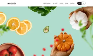 Preview of the Leading Non Profit Organisation Case Study