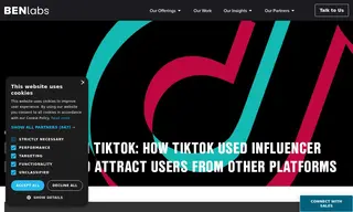 Preview of the TikTok Case Study