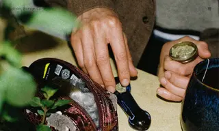 Preview of the Crops Cannabis Case Study