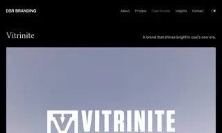 Preview of the Vitrinite Case Study