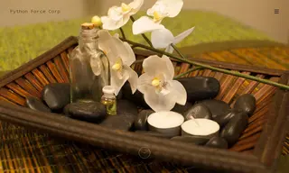 Preview of the Balanced Body Massage Therapy and Bodywork Case Study