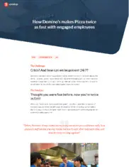 Preview of the Domino's Case Study