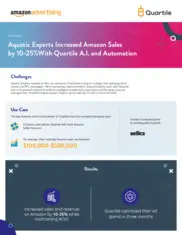 Preview of the Amazon Advertising Case Study