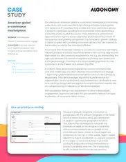 Preview of the American Global eCommerce Marketplace Case Study
