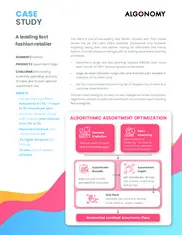 Preview of the Leading American Fast-Fashion Retailer Case Study