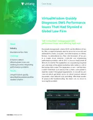 Preview of the Large International Law Firm Case Study