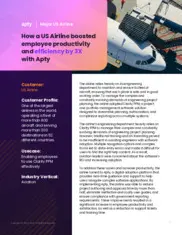 Preview of the Leading US Airline Case Study