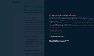 Preview of the RINA Case Study