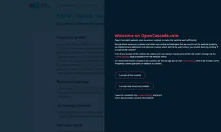 Preview of the BMW Case Study