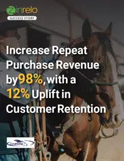 Preview of the Coolhorse Case Study
