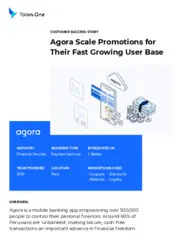 Preview of the Agora Case Study