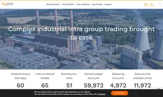 Preview of the Complex Industrial Group Case Study