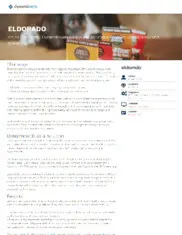 Preview of the Eldorado A/S Case Study