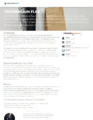 Preview of the TricorBraun Case Study