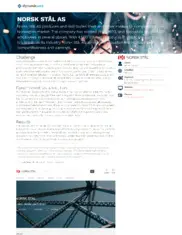 Preview of the Norsk Stål AS Case Study