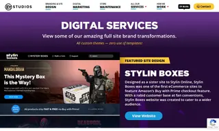 Preview of the LazyOne Case Study